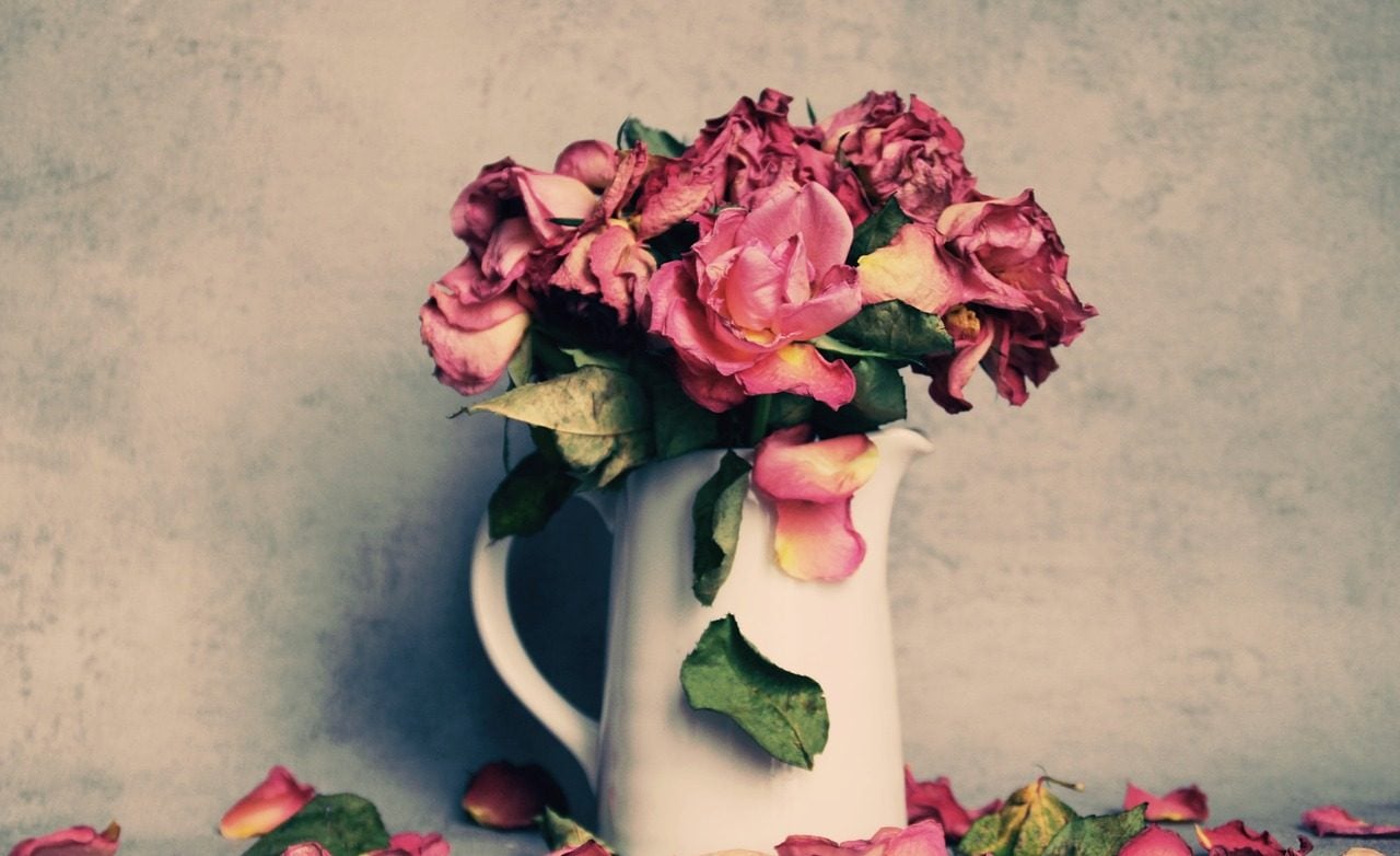 How To Preserve Flowers : Top 5 Ways To Make Keepsakes