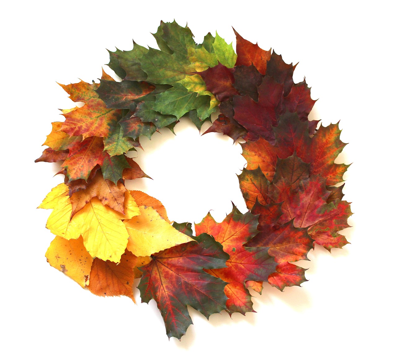 Autumn wreath design step by step Flower Press
