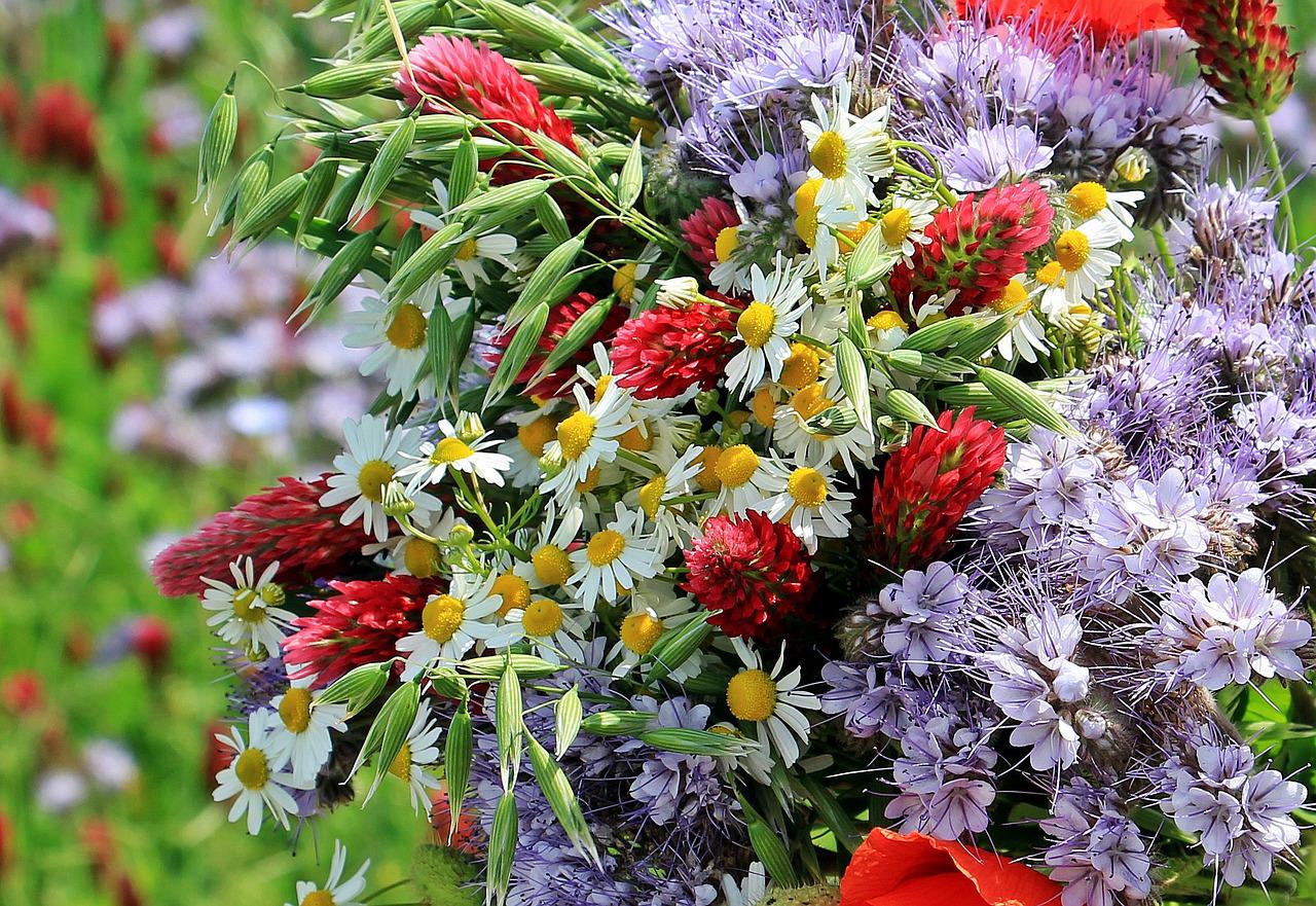 Wildflower arrangements how to make your own Flower Press