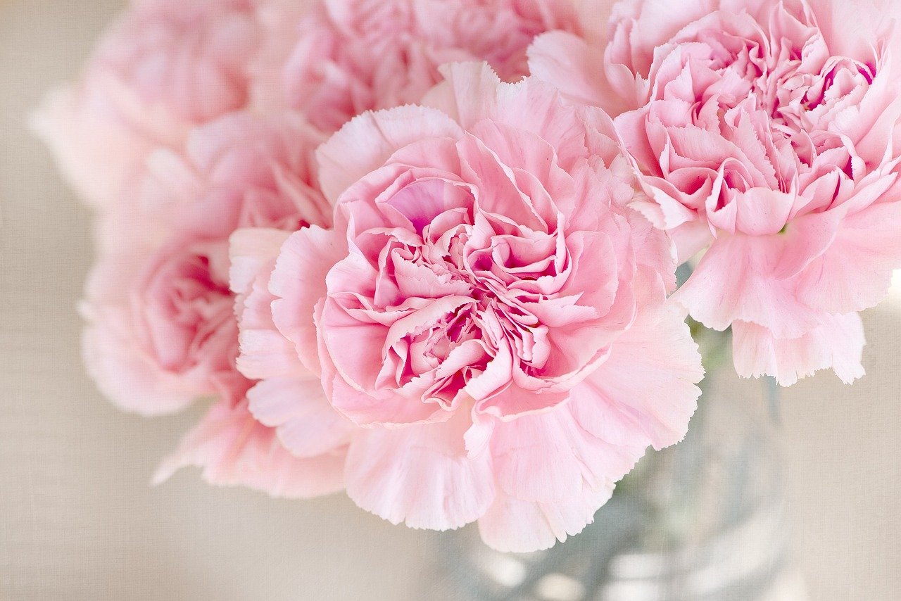 Cut flower