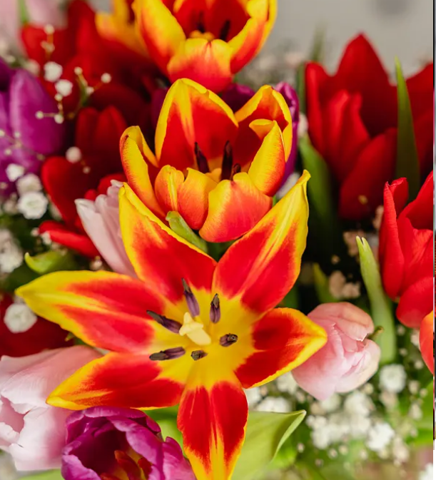 Mother's Day Blooms for Your Wife Flower Press