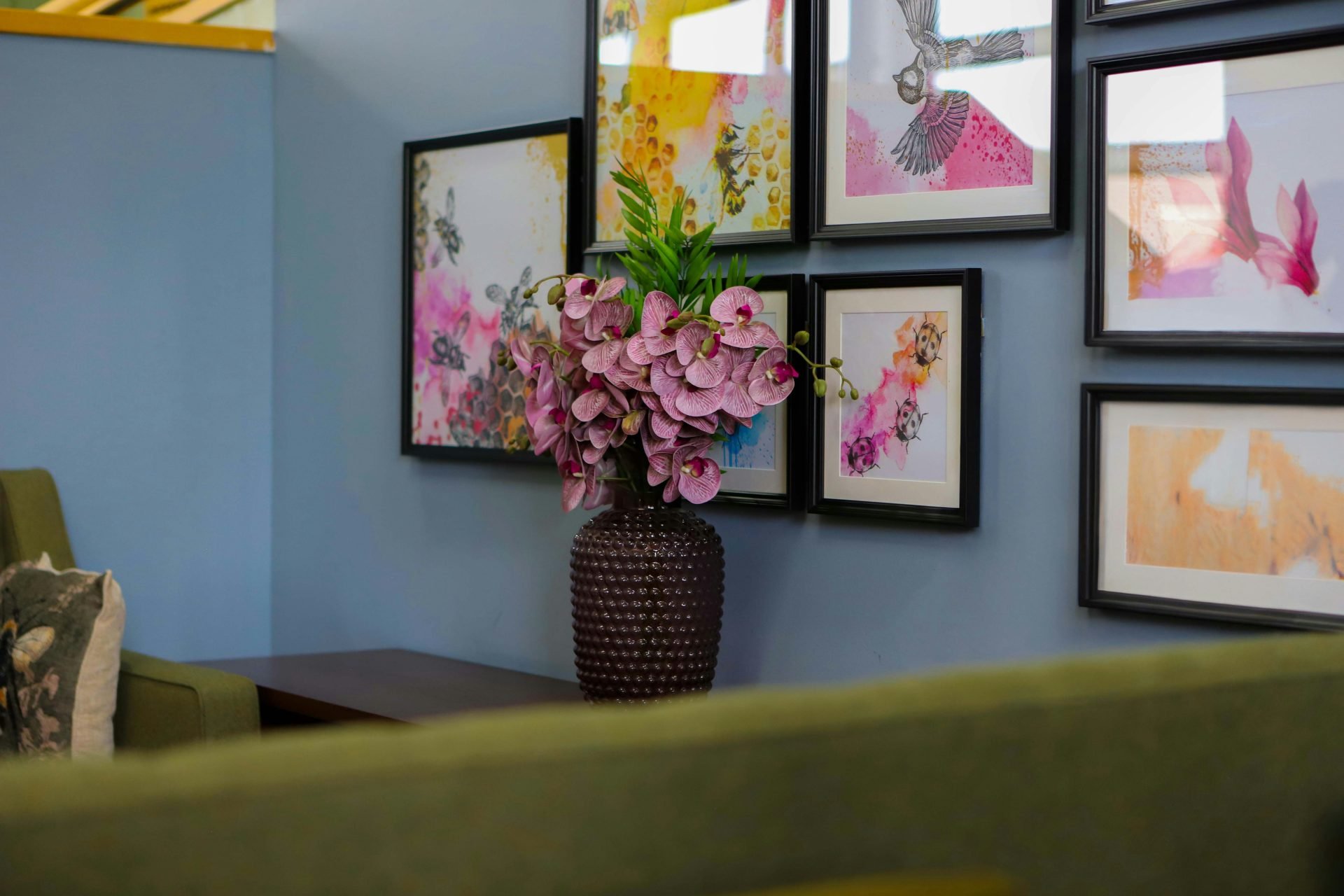 Complete Orchid Care Guide: Understanding Their Needs