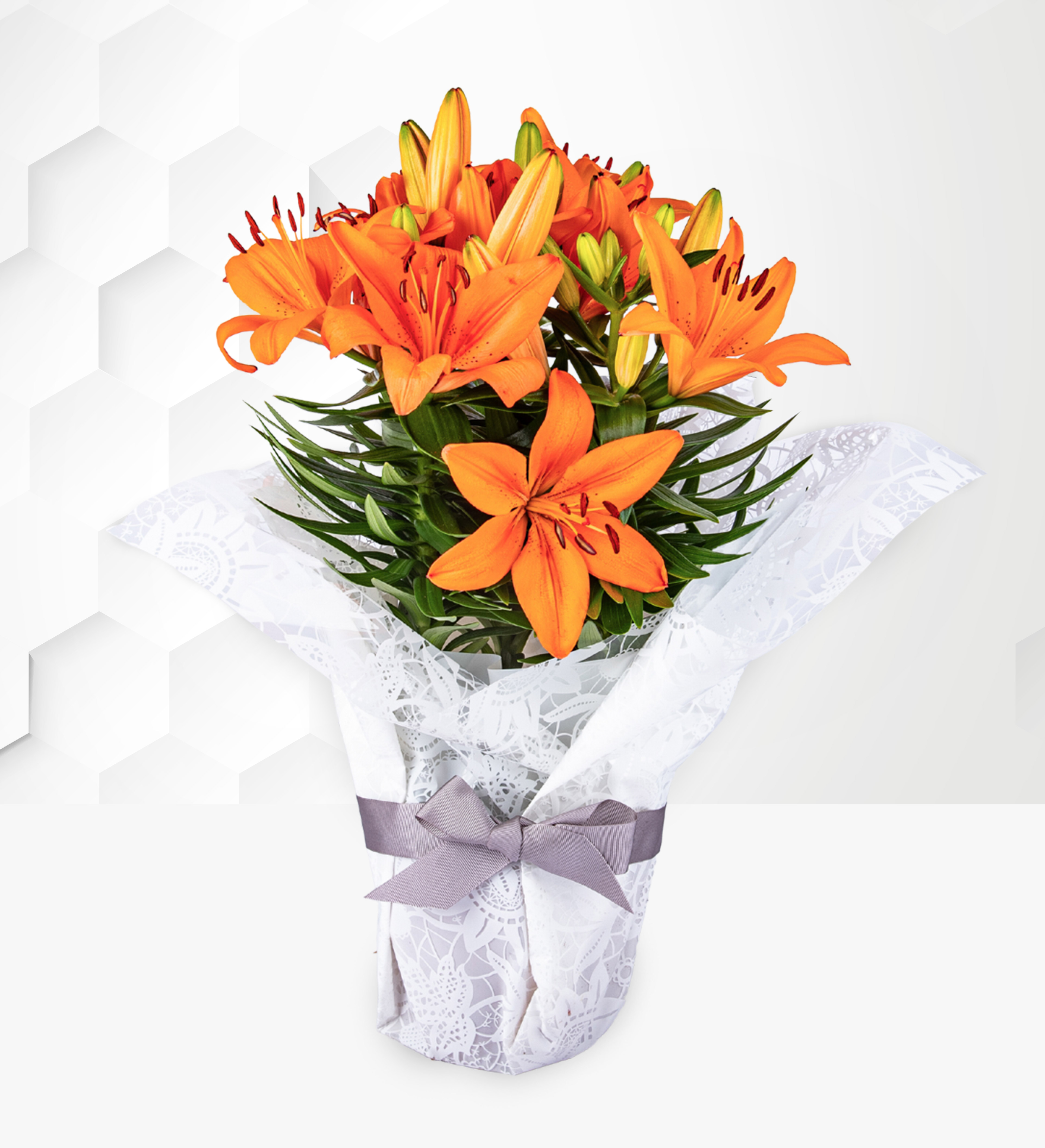 Autumn Lily Plant Prestige Flowers