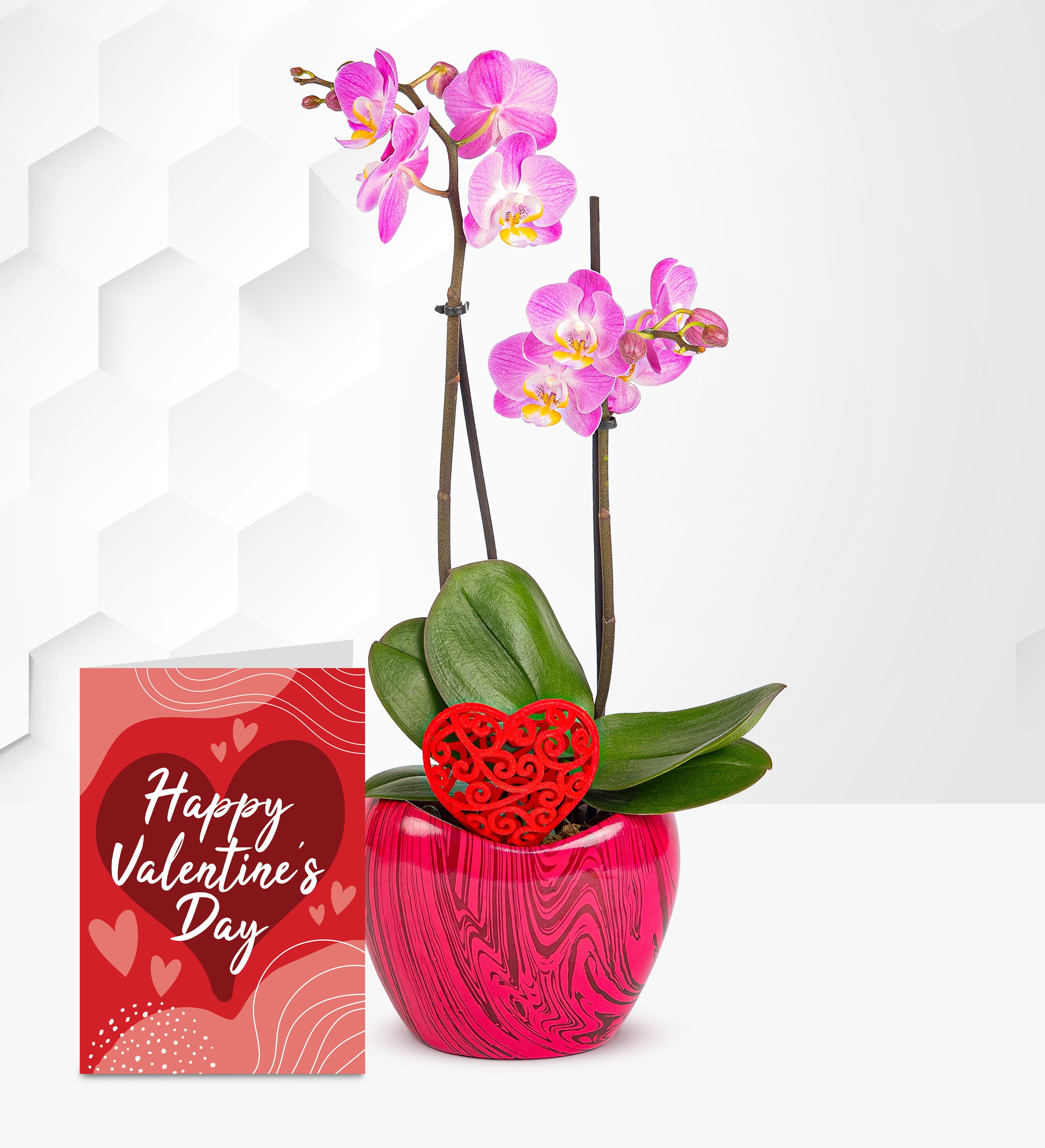 Deluxe Orchid with Valentines Card Prestige Flowers