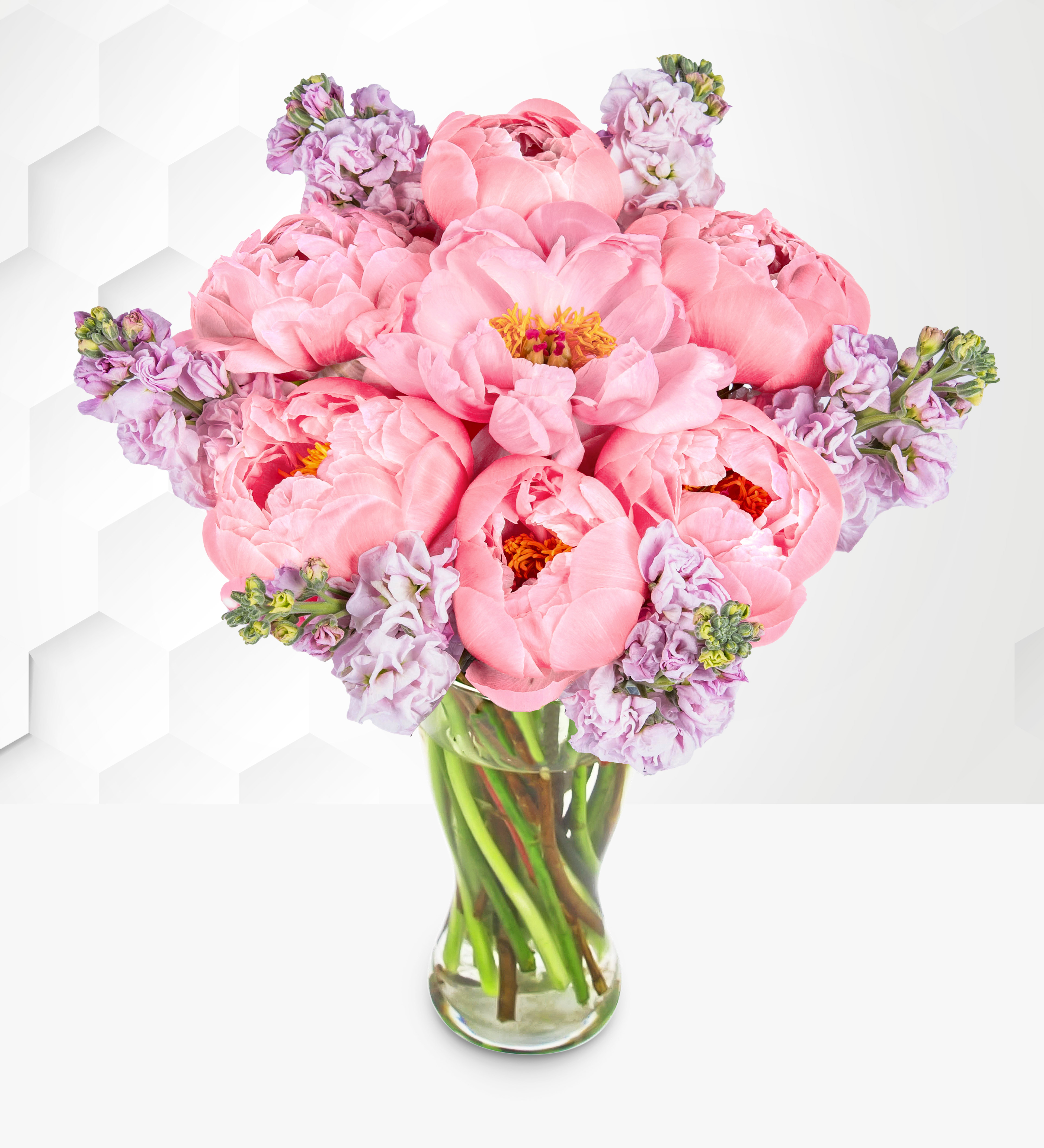 Peonies　ピオーニ Paradise Peonies | Prestige Flowers