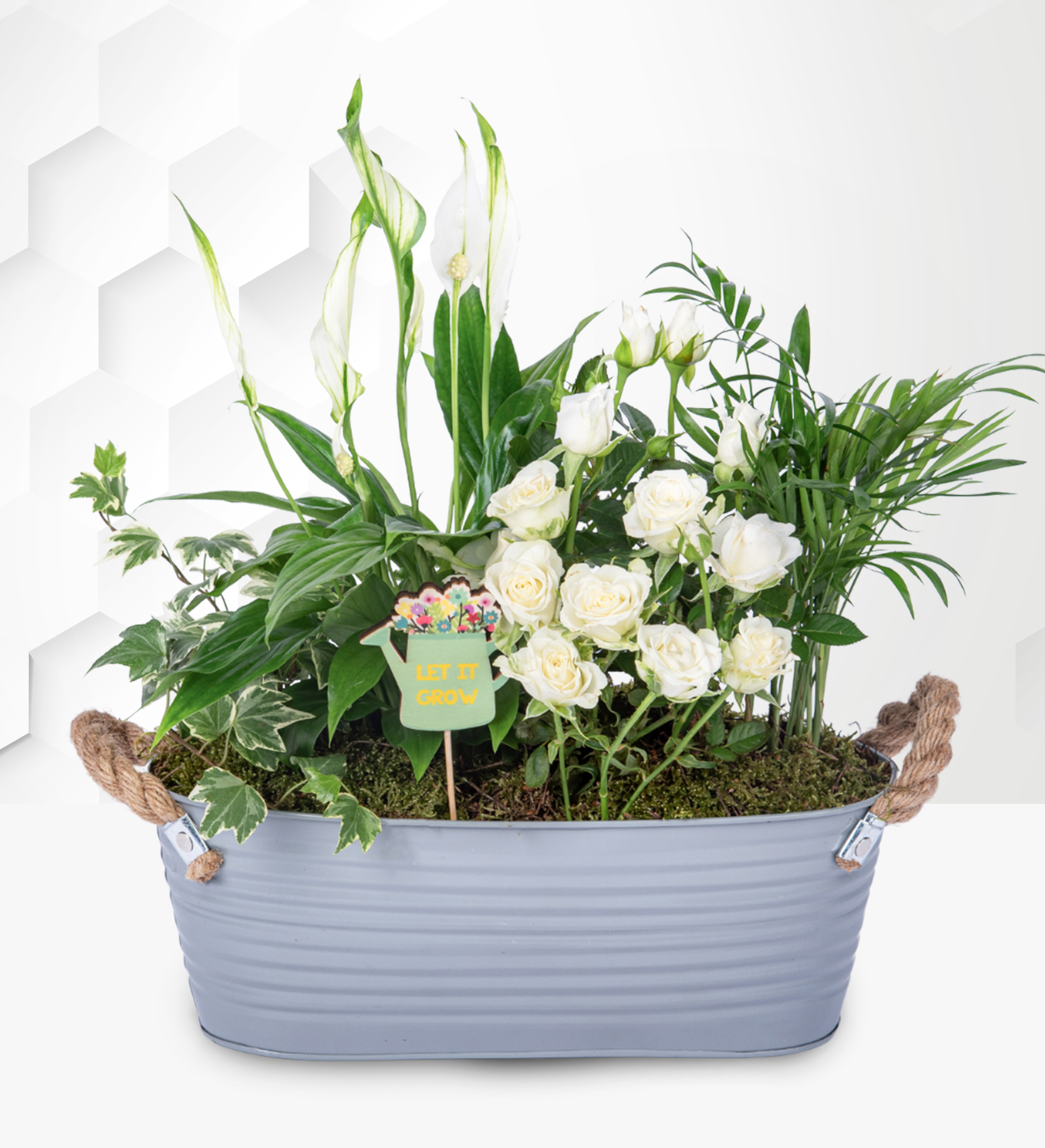 Ivory Meadow Prestige Flowers