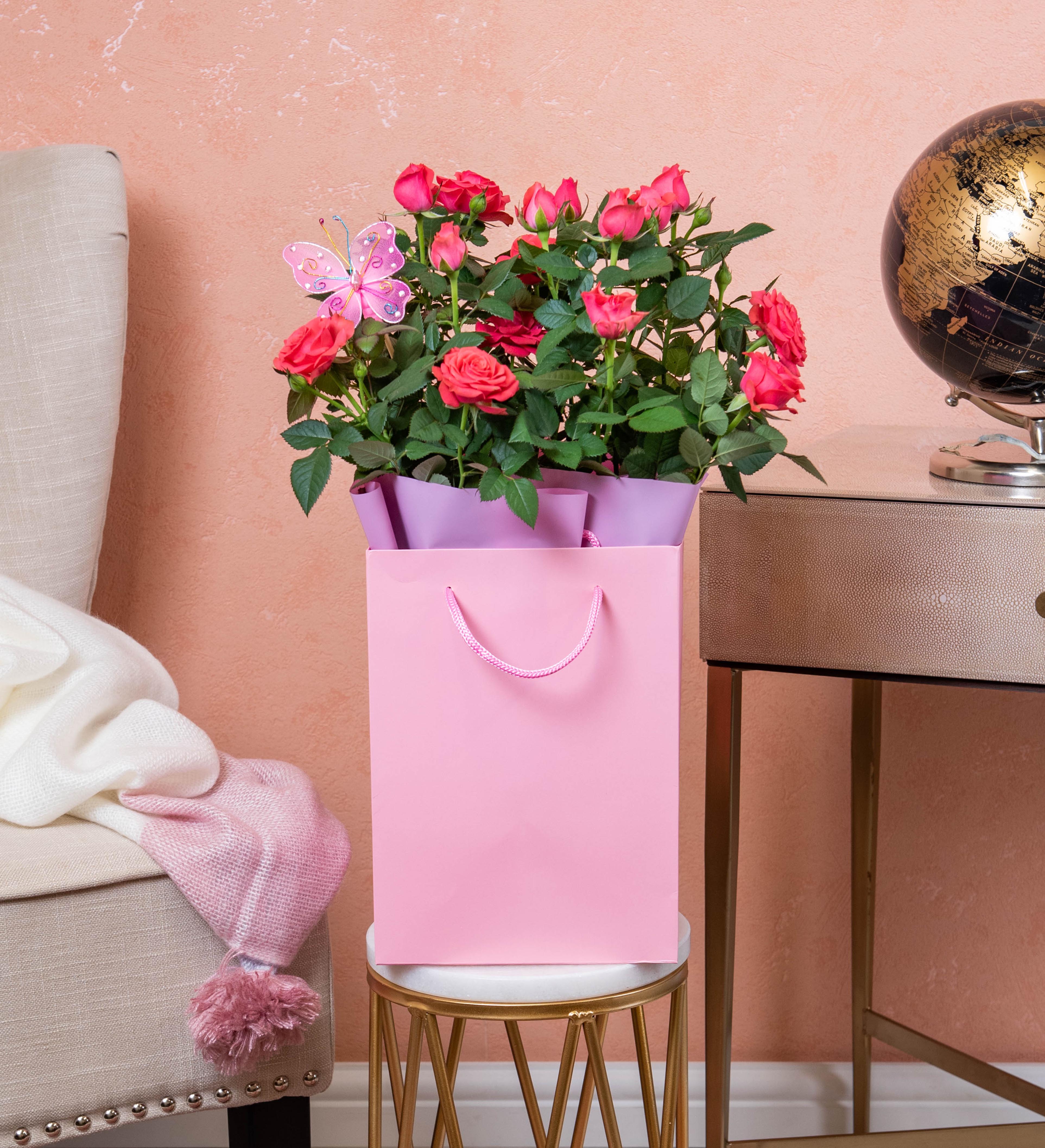 Beautiful Rose Plant Prestige Flowers