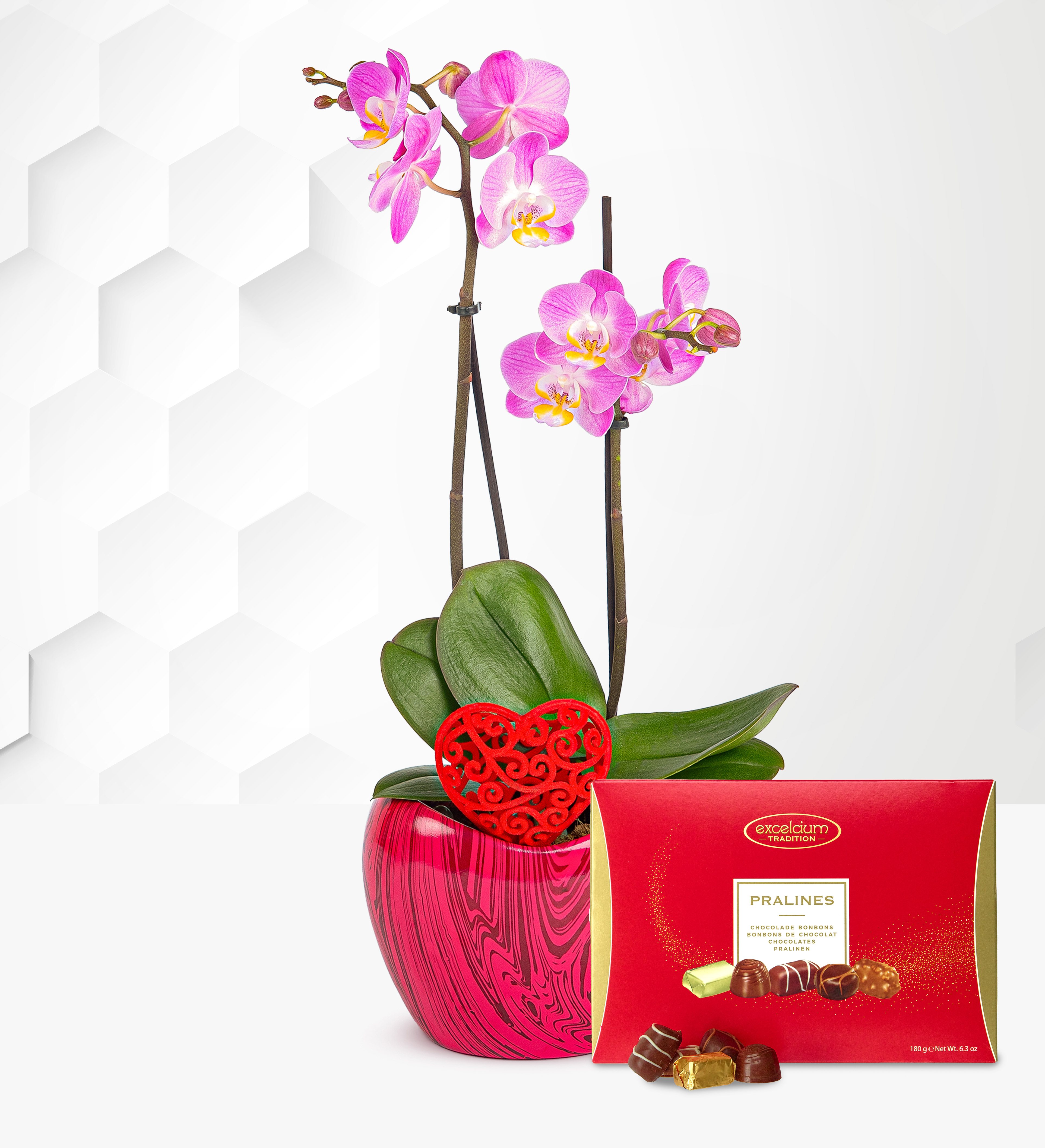 Deluxe Orchid with Chocolates Prestige Flowers
