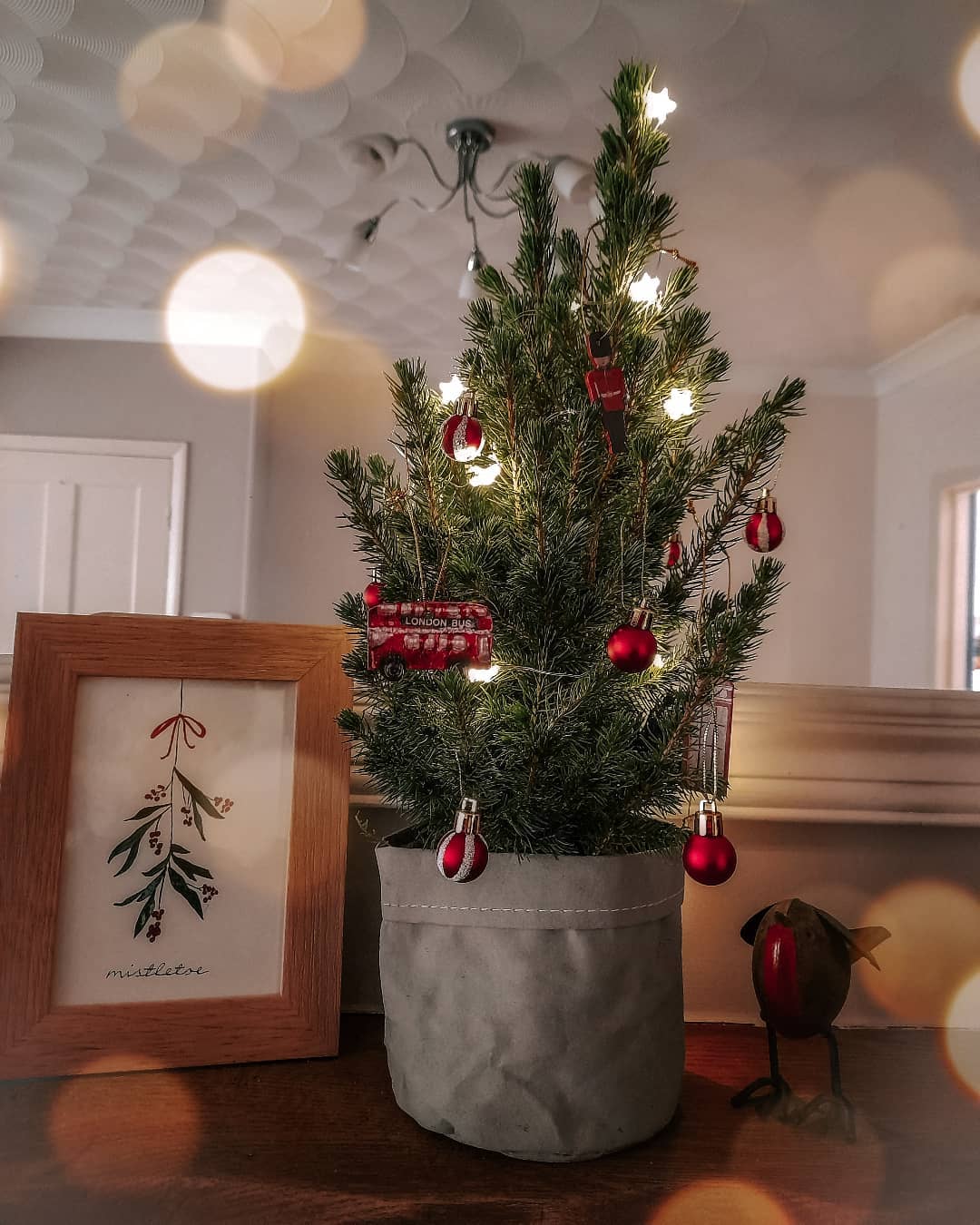 Letterbox Festive Tree Prestige Flowers