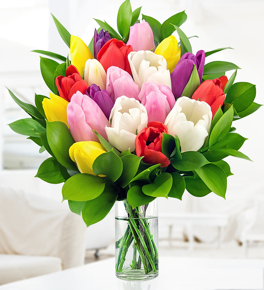 Tulips | Prestige Flowers
