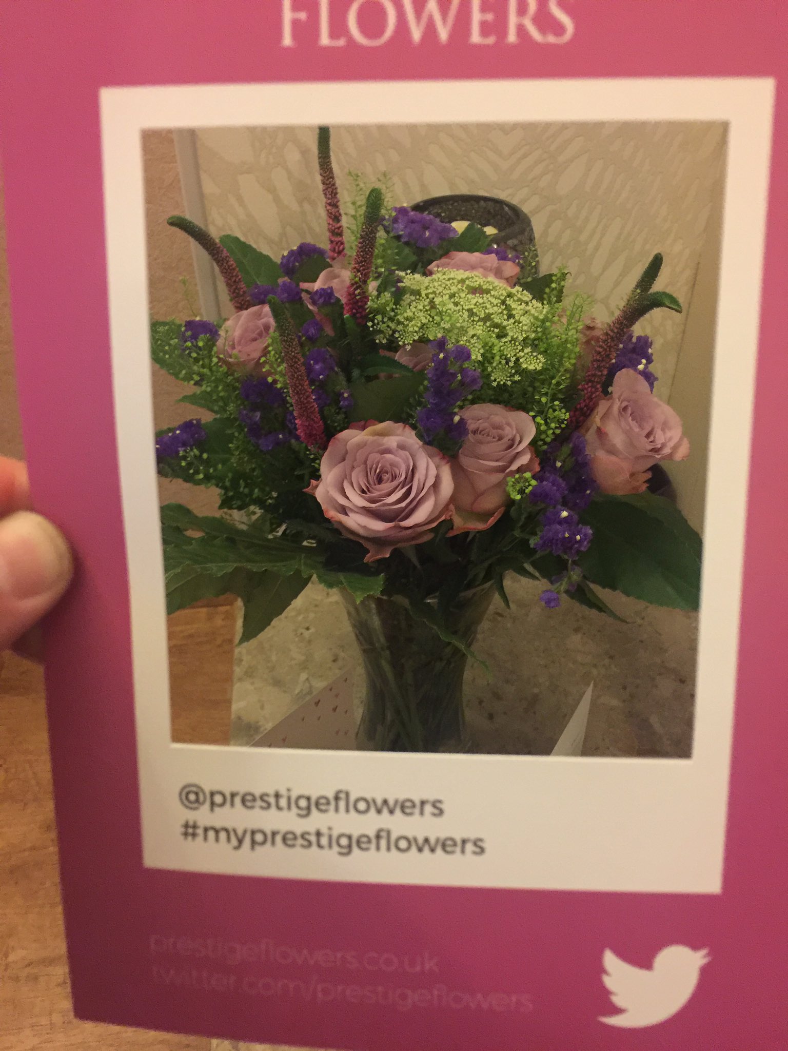 My Prestige Flowers Campaign Prestige Flowers