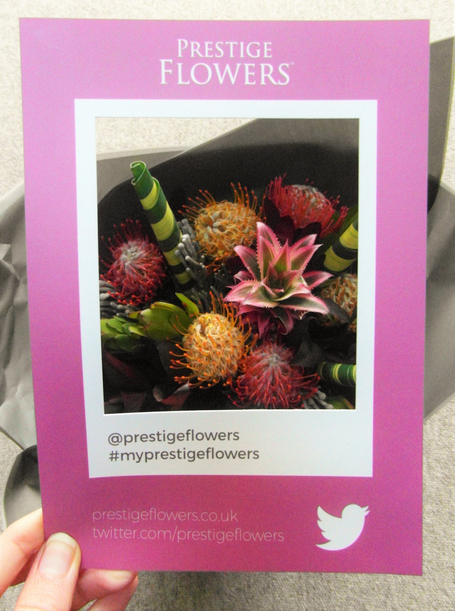 My Prestige Flowers Campaign Prestige Flowers