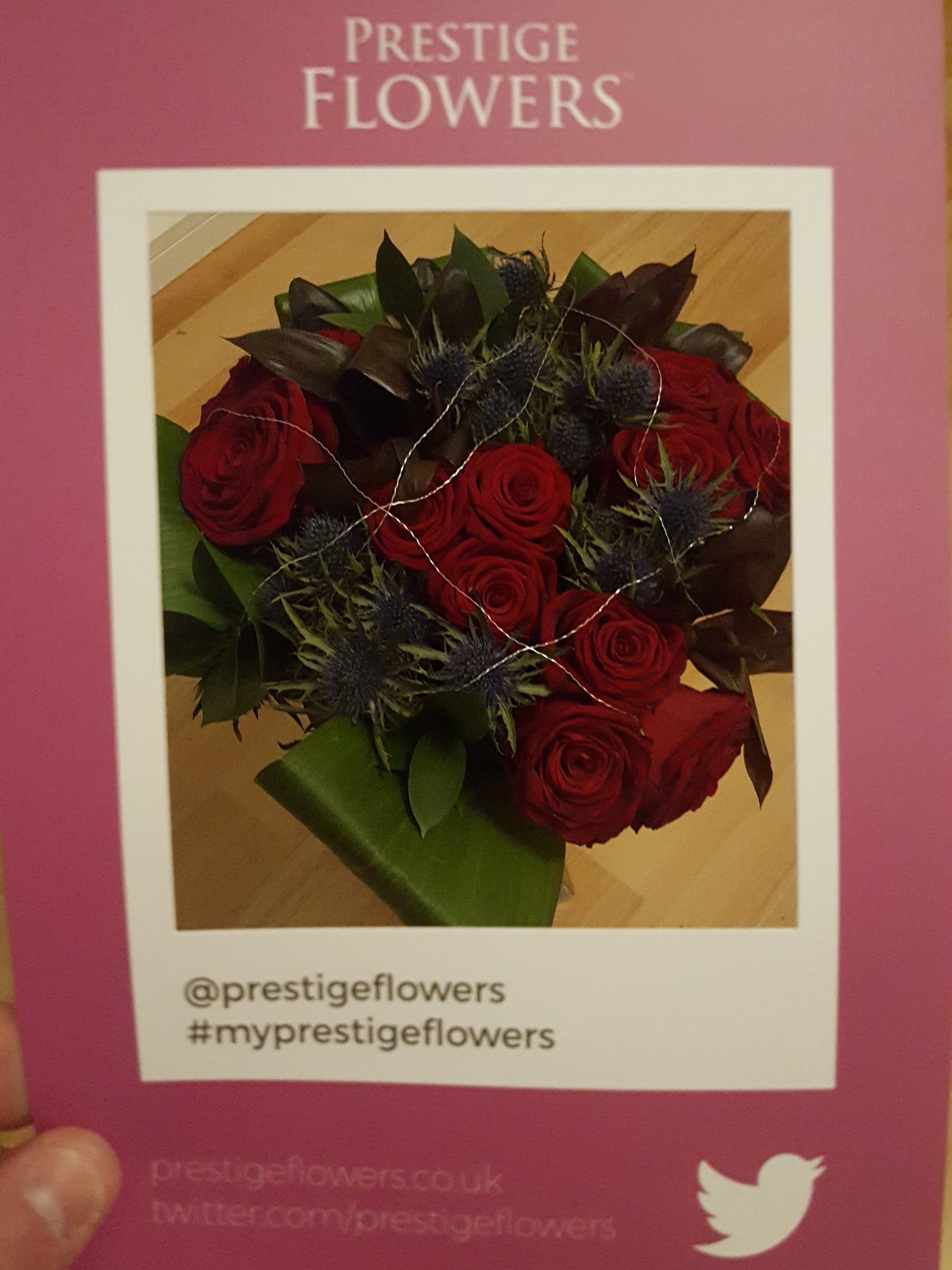 My Prestige Flowers Campaign Prestige Flowers