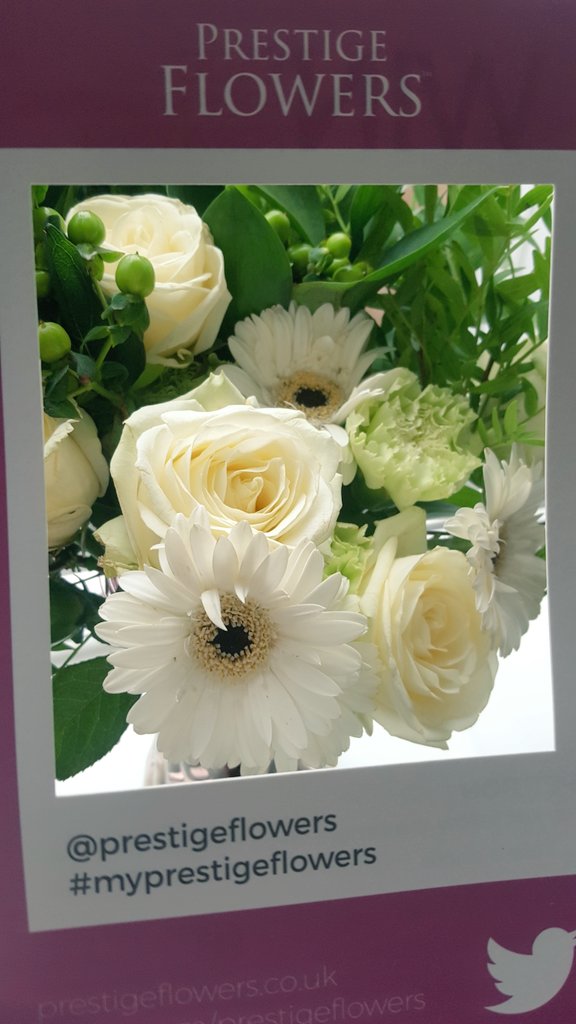 My Prestige Flowers Campaign Prestige Flowers