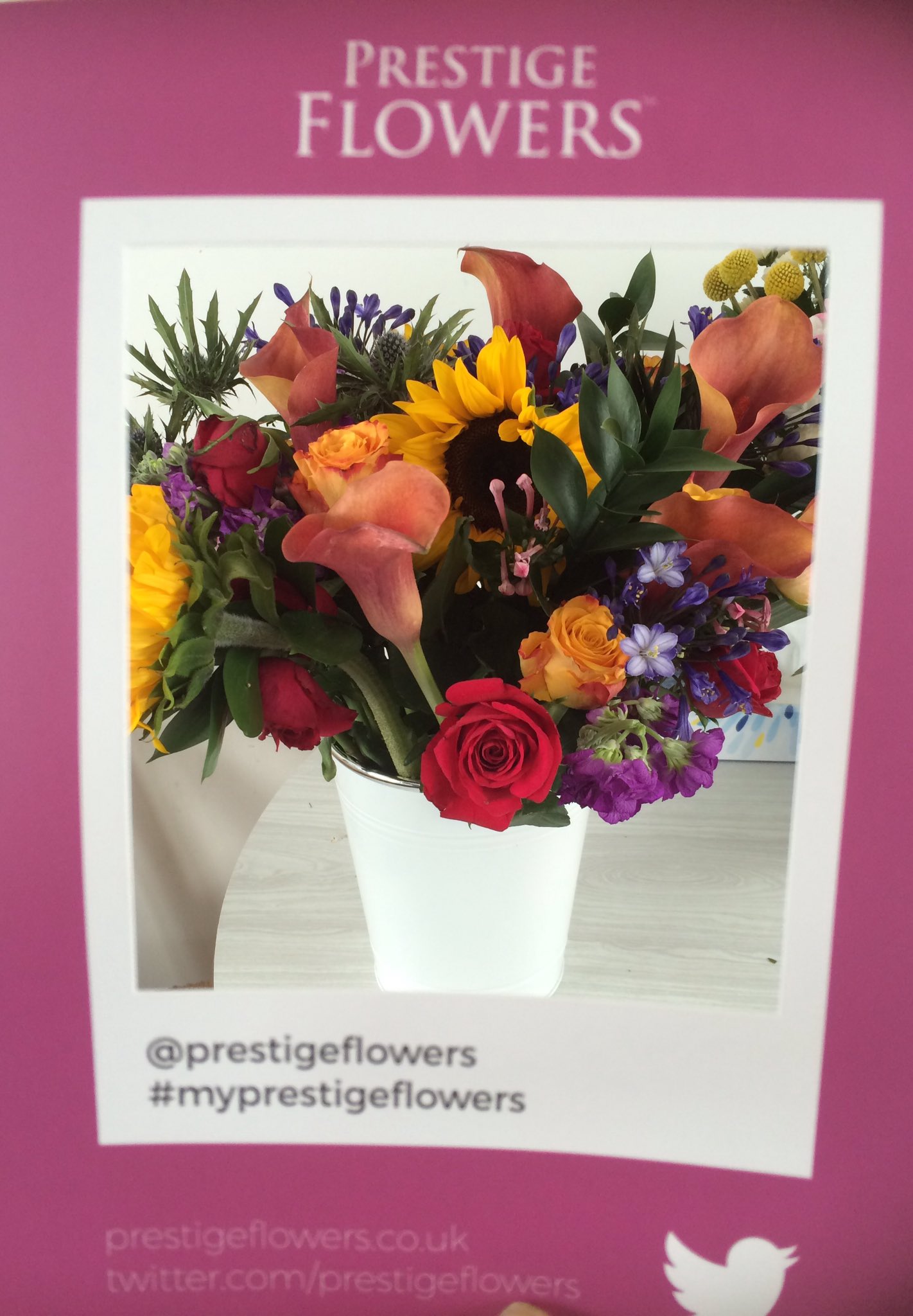 My Prestige Flowers Campaign Prestige Flowers