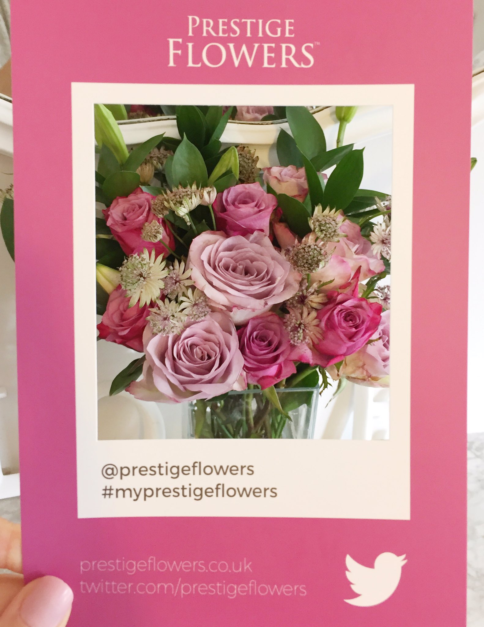 My Prestige Flowers Campaign Prestige Flowers